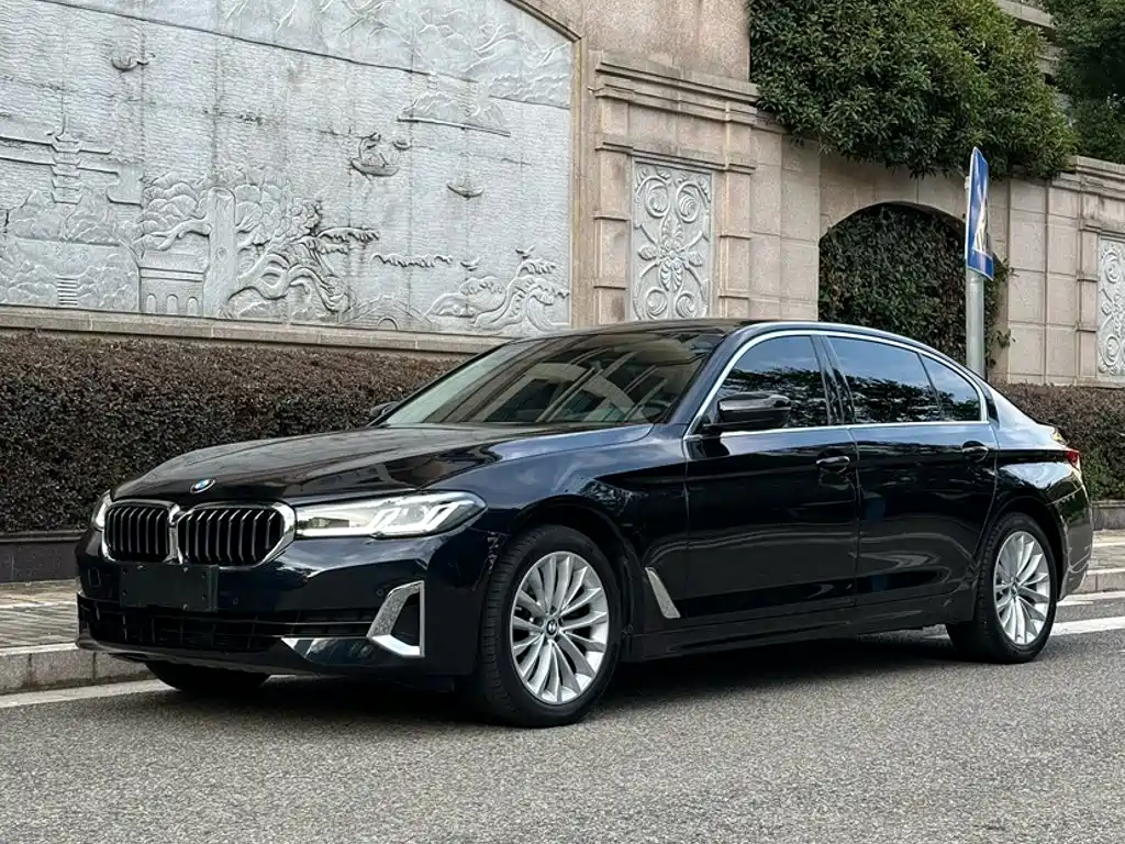 BMW 5 Series — миниатюра 3
