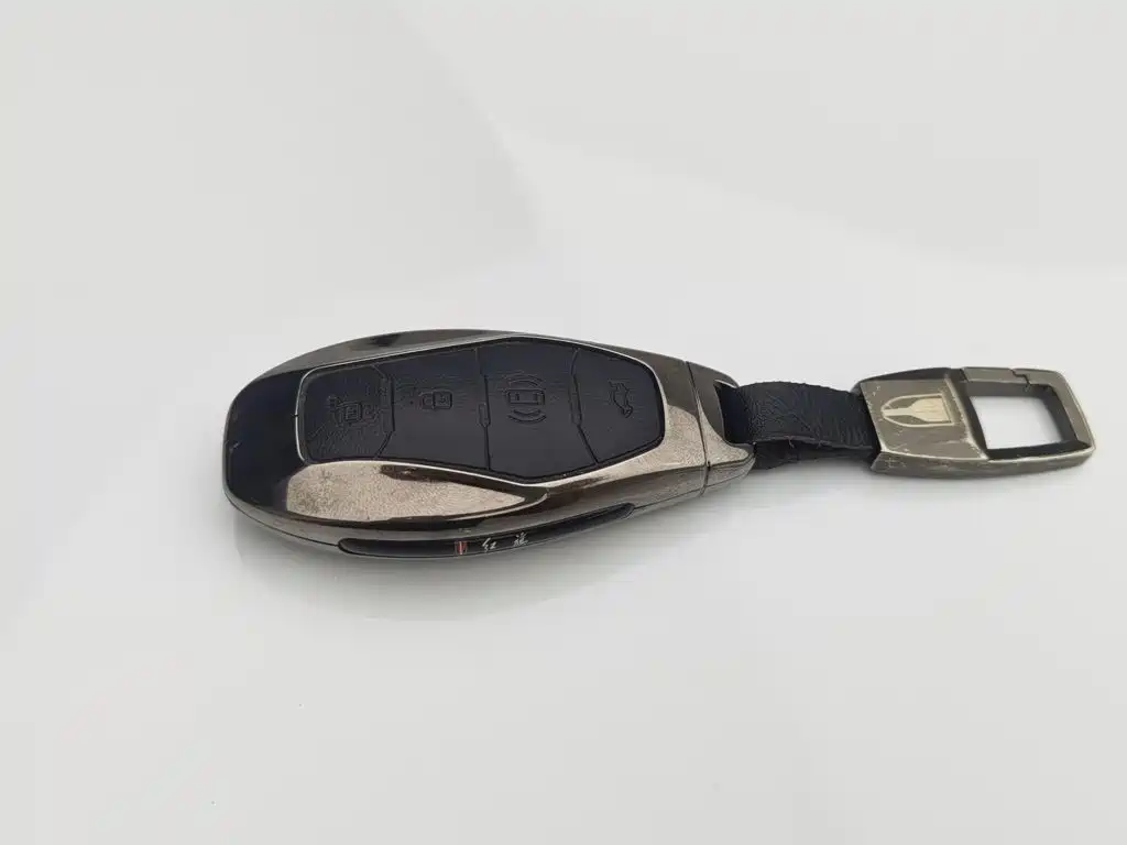 Hongqi Hongqi HQ9 — миниатюра 19