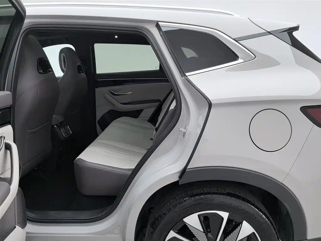 BYD SONGJIANG NEW ENERGY