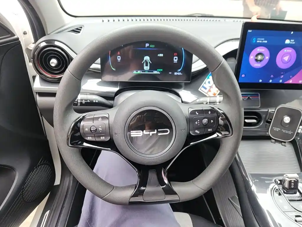 BYD e2 — миниатюра 11