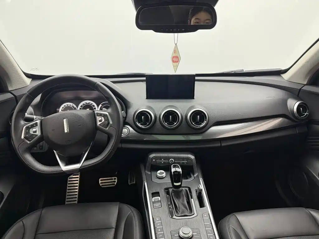 Wey Wey P8 — миниатюра 12