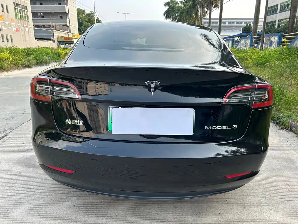 Tesla Model 3 — миниатюра 6