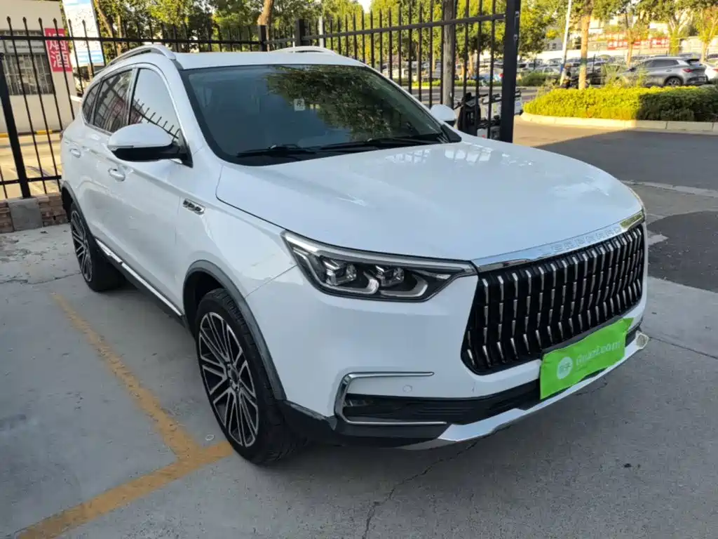 Leopaard Mattu — миниатюра 4