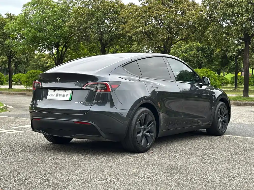 Tesla Model Y — миниатюра 6