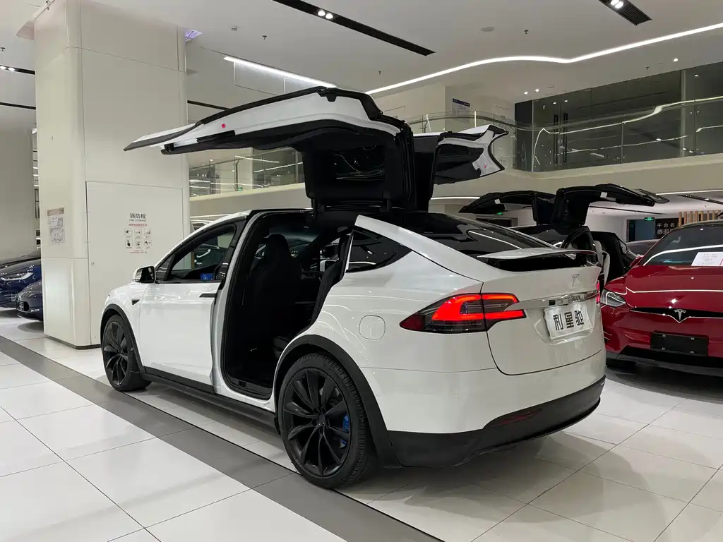 Tesla Model X — миниатюра 4
