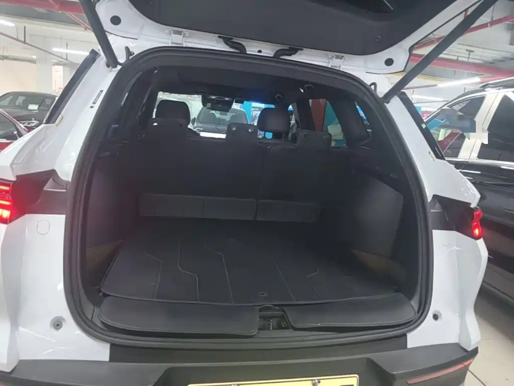 BYD Pro New Energy — миниатюра 19