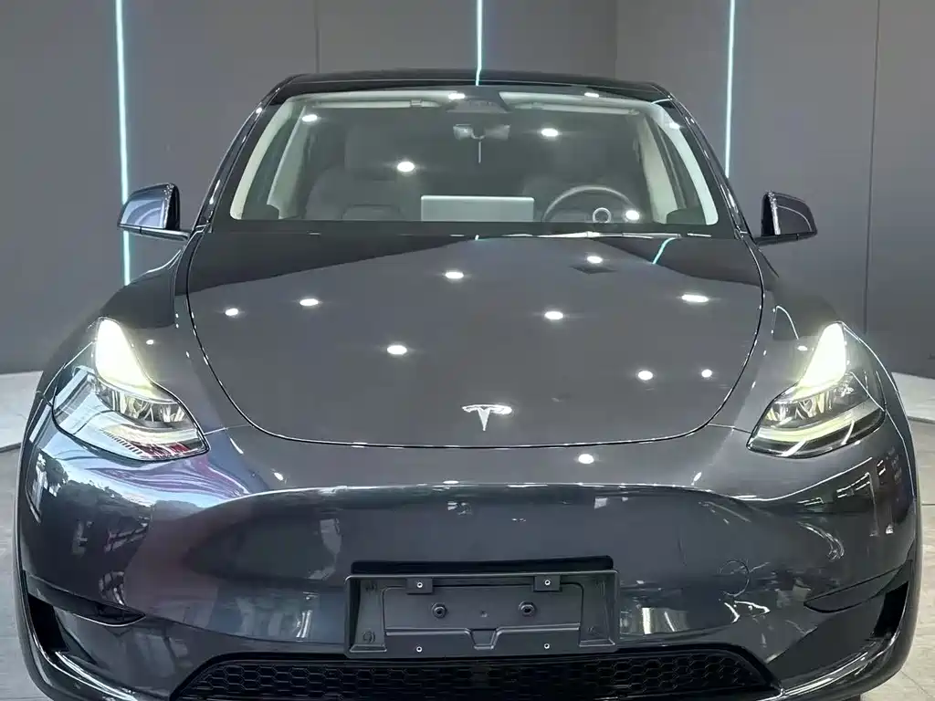 Tesla Model Y — миниатюра 2