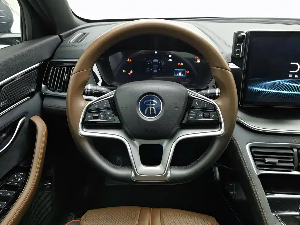 BYD PLUS — миниатюра 11