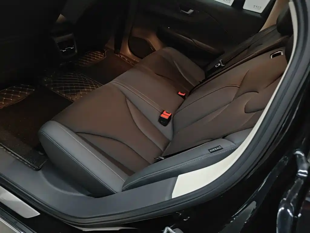 Hongqi Hongqi E-QM5 — миниатюра 17
