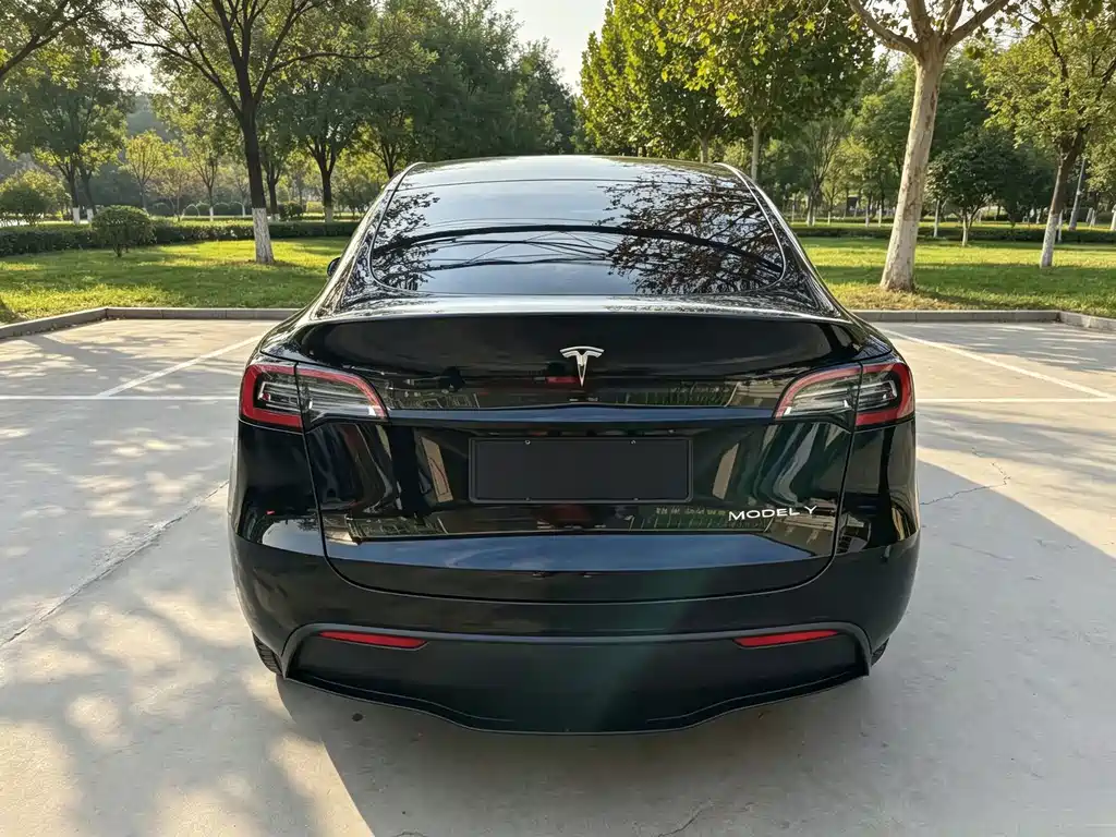 Tesla Model Y — миниатюра 5