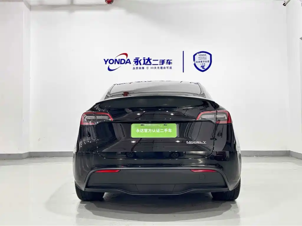 Tesla Model Y — миниатюра 2