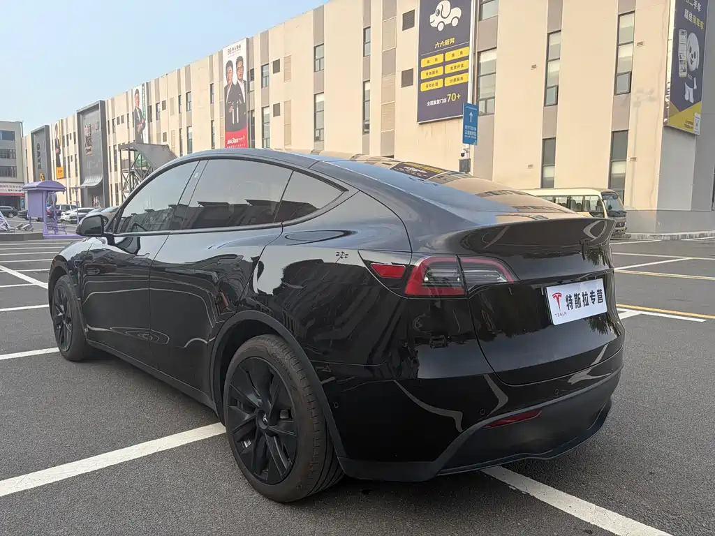 Tesla Model Y — миниатюра 4