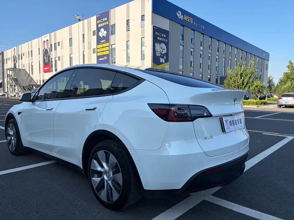 Tesla Model Y — миниатюра 4