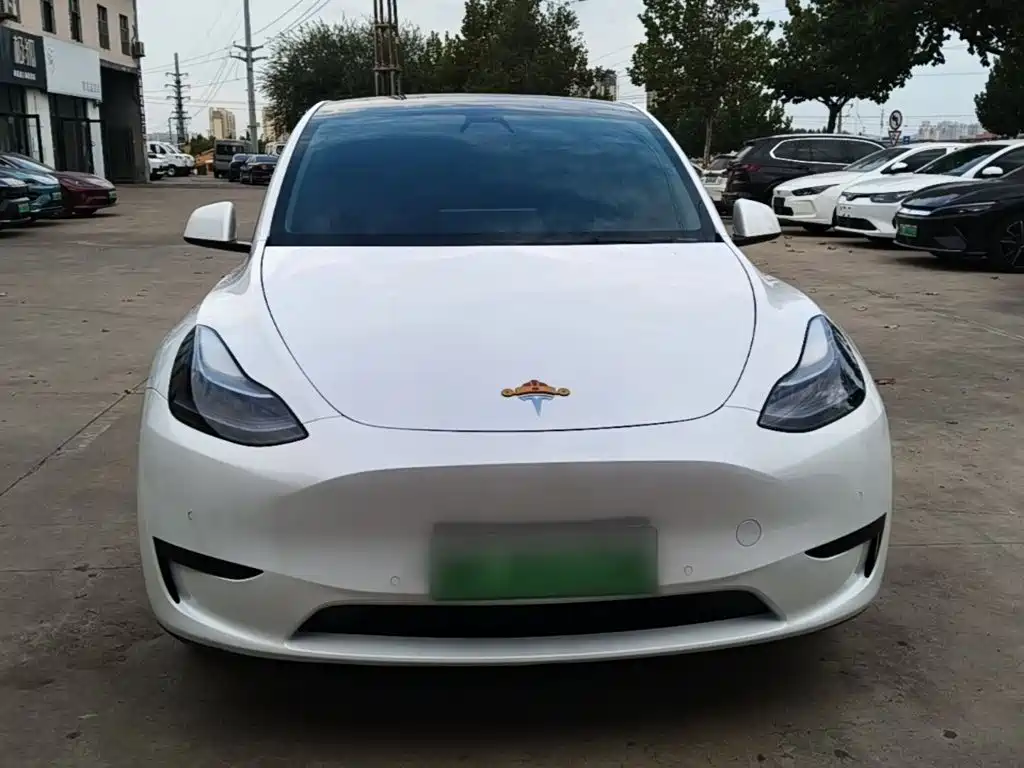 Tesla Model Y — миниатюра 3