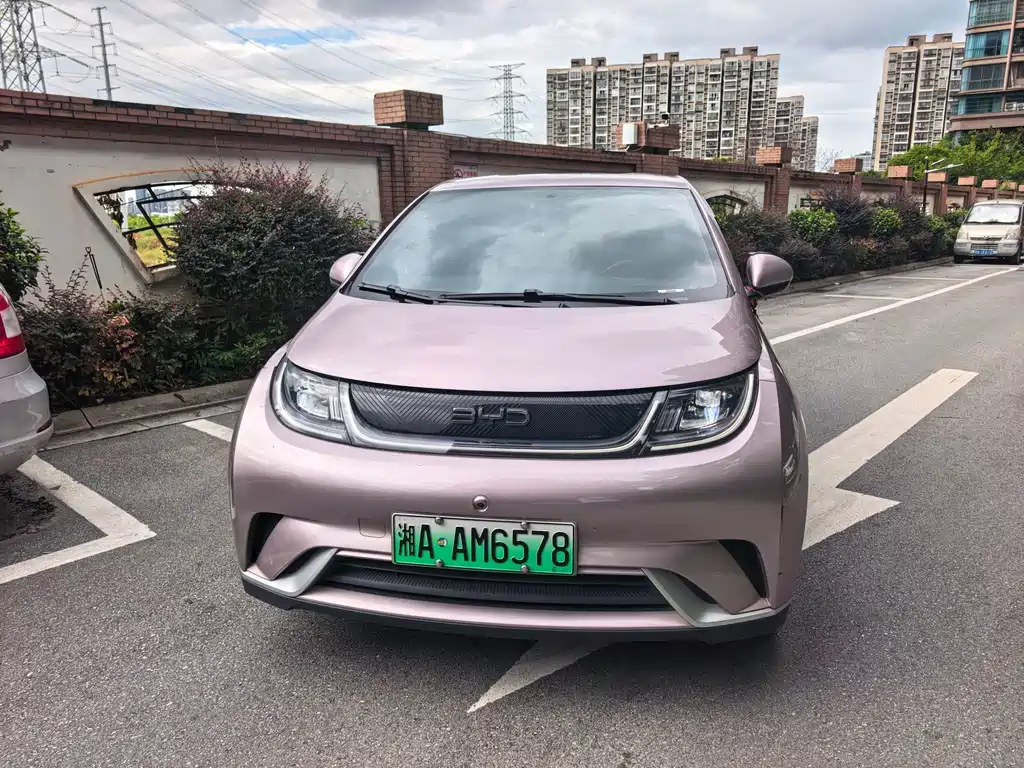 BYD Dolphin — миниатюра 2