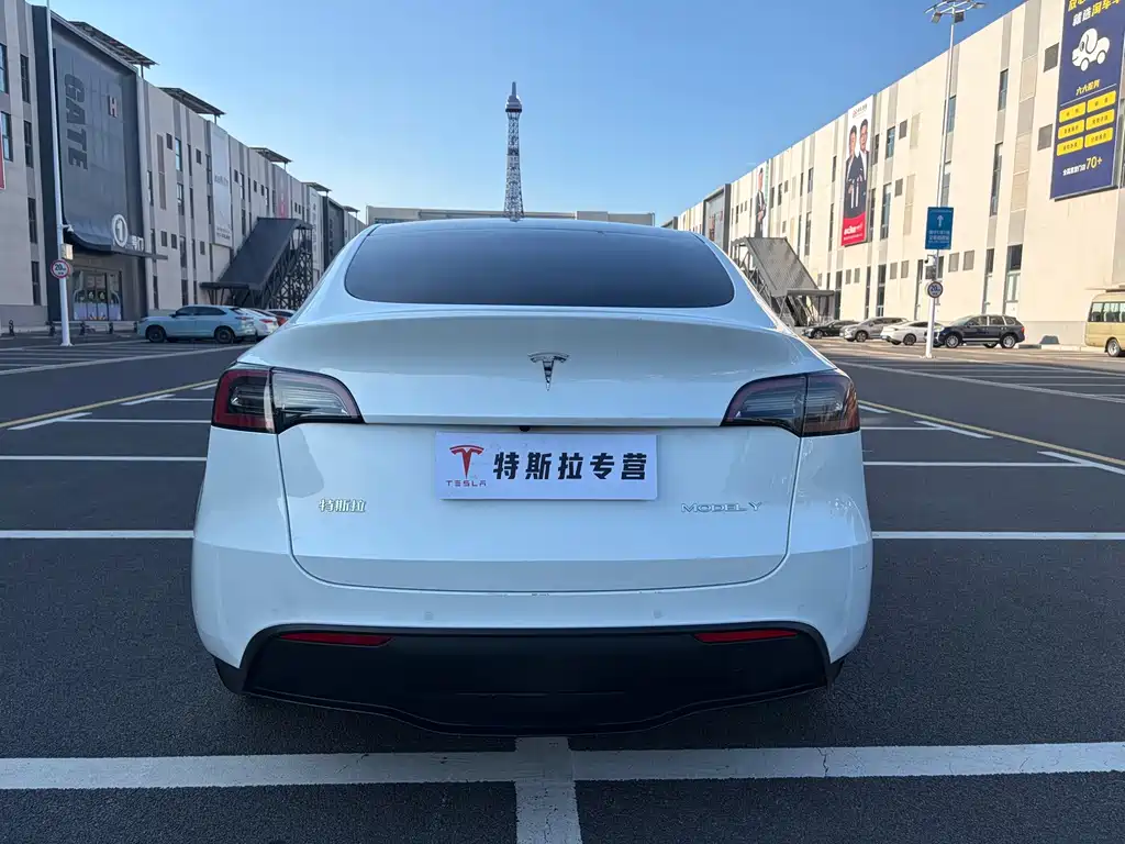 Tesla Model Y — миниатюра 5