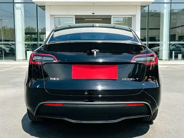 Tesla Model Y — миниатюра 8