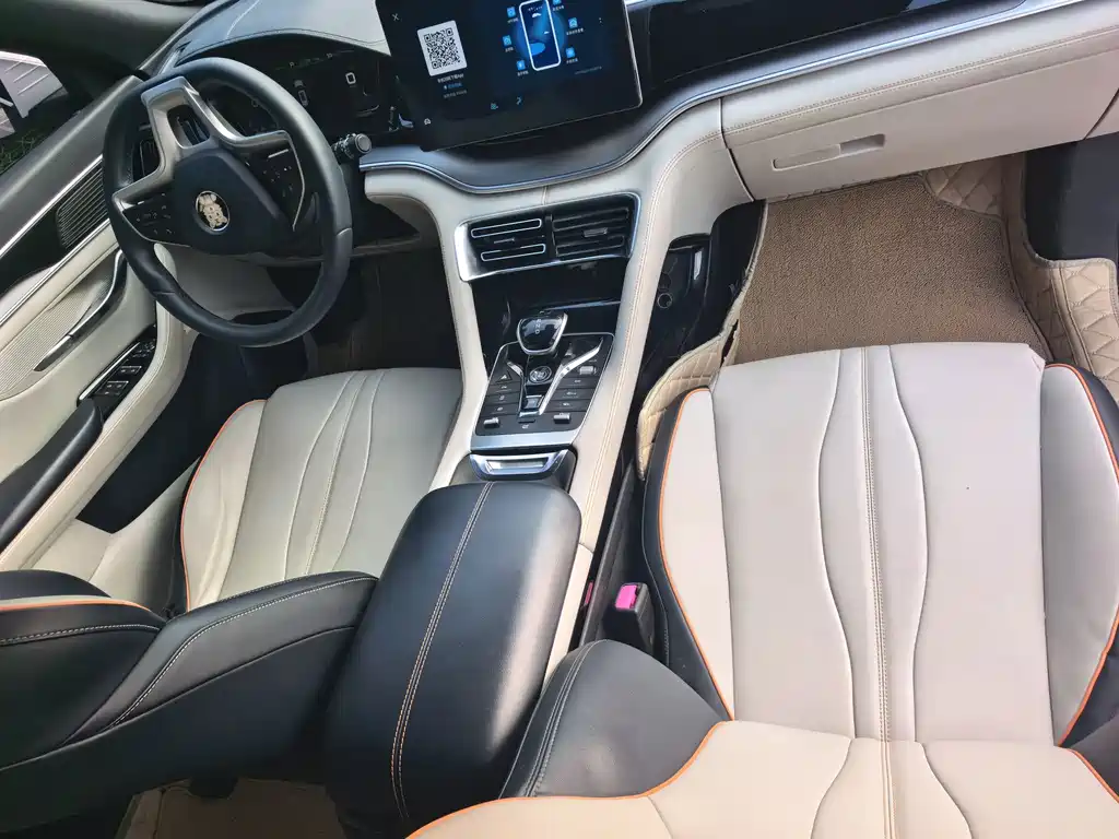BYD PLUS New Energy — миниатюра 9