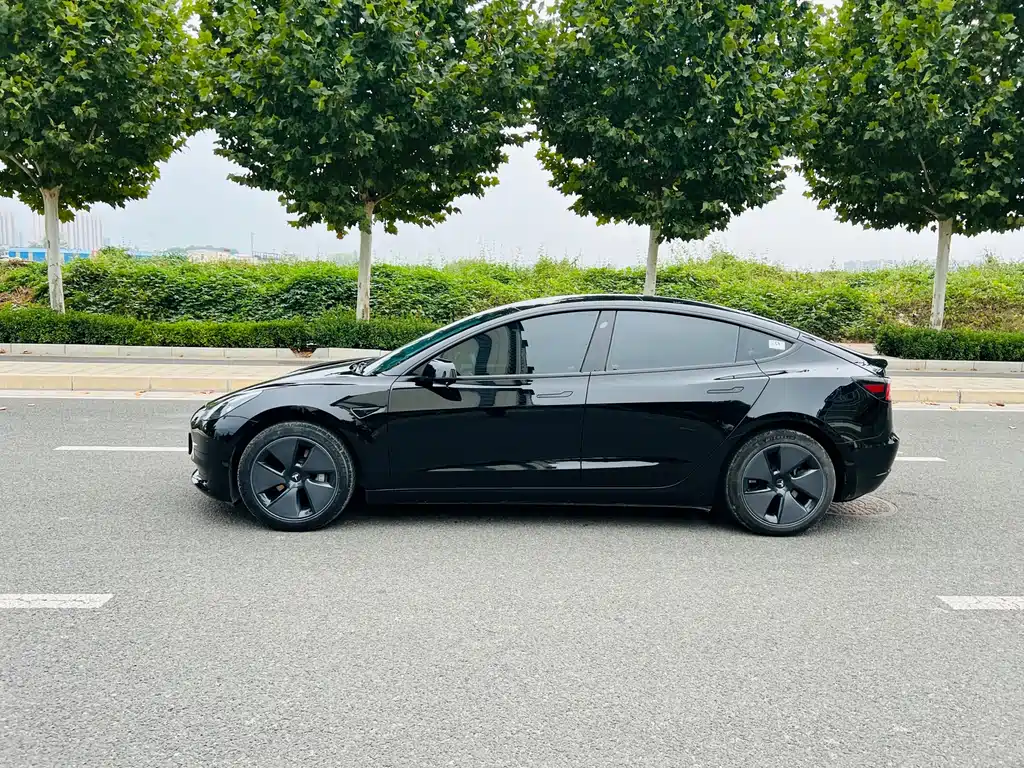 Tesla Model 3 — миниатюра 7