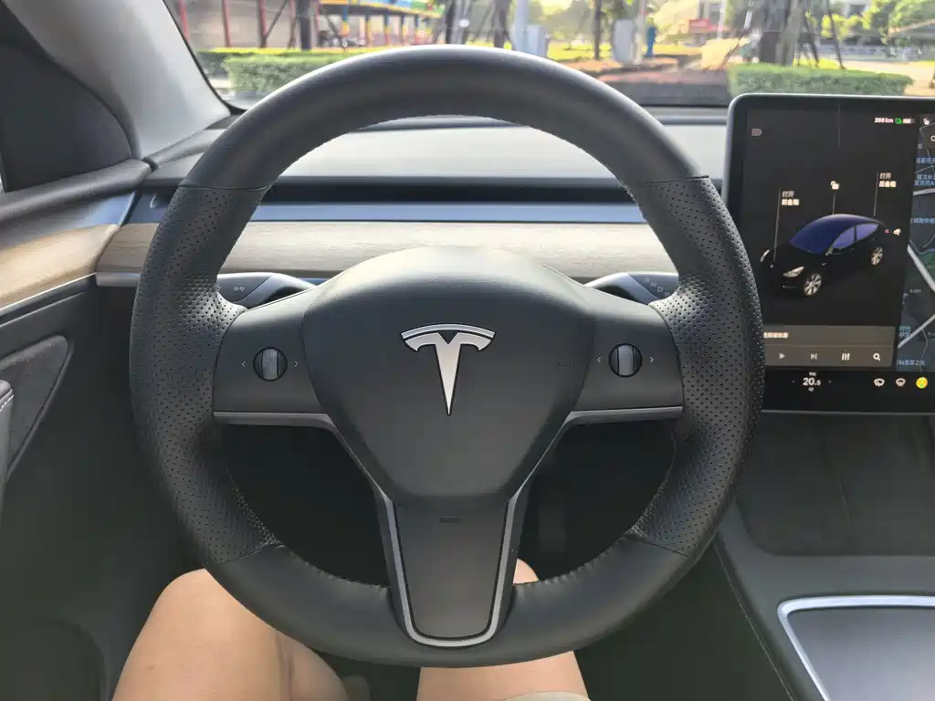 Tesla Model Y — миниатюра 15