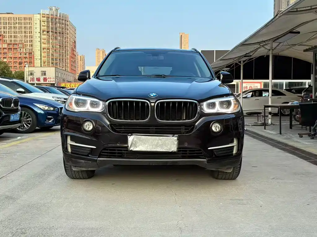 BMW X5 (Import) — миниатюра 2