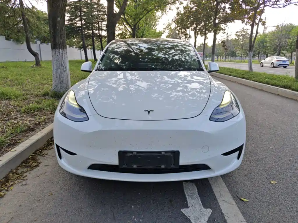 Tesla Model Y — миниатюра 3