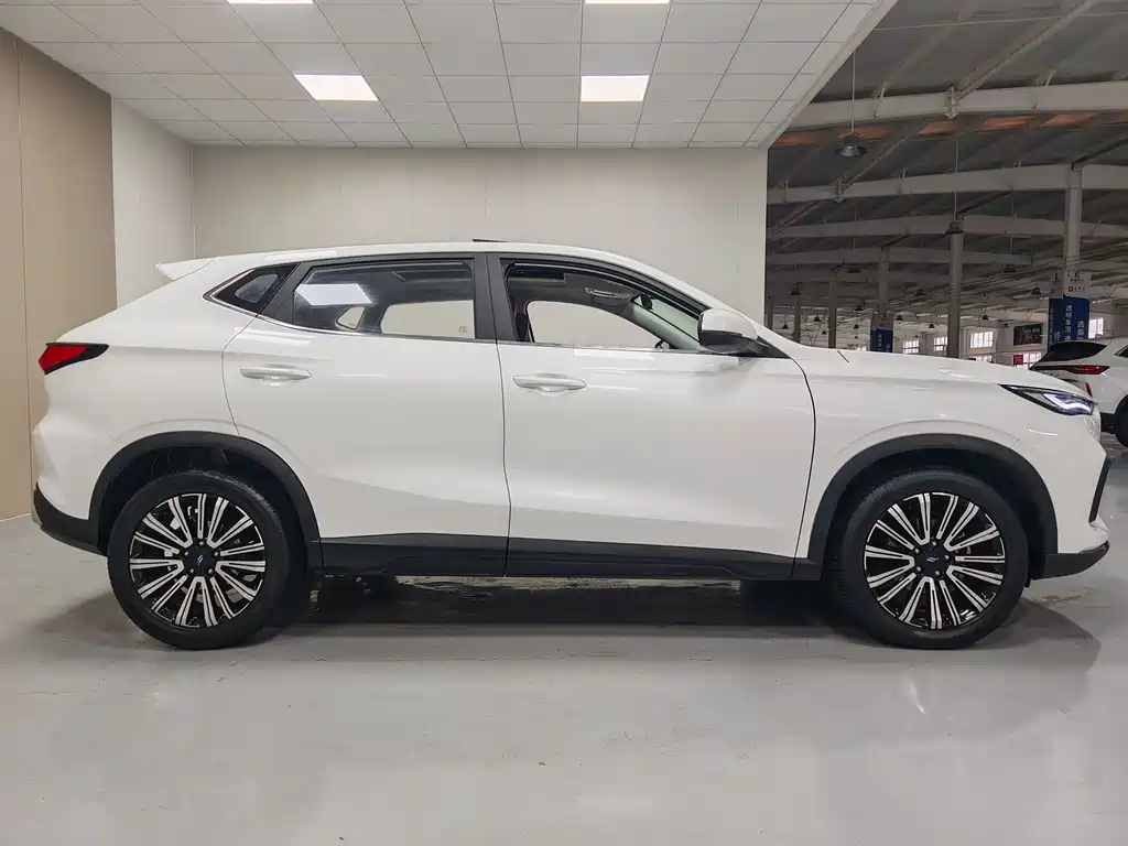 Oshan Oushang X5 — миниатюра 13