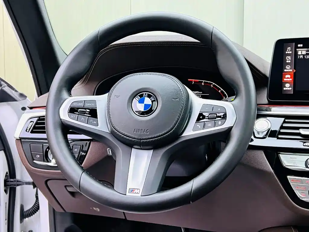 BMW 5 Series 5 2022 525Li M Sport