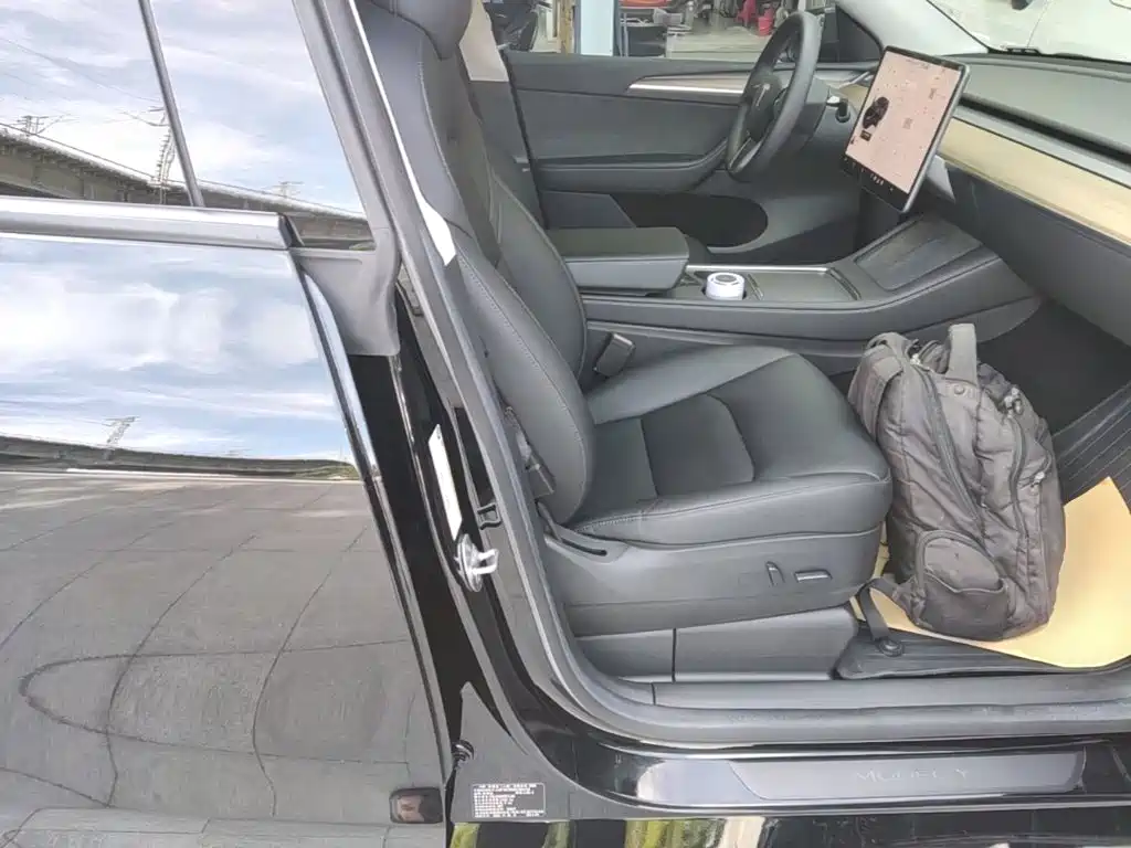 Tesla Model Y — миниатюра 25