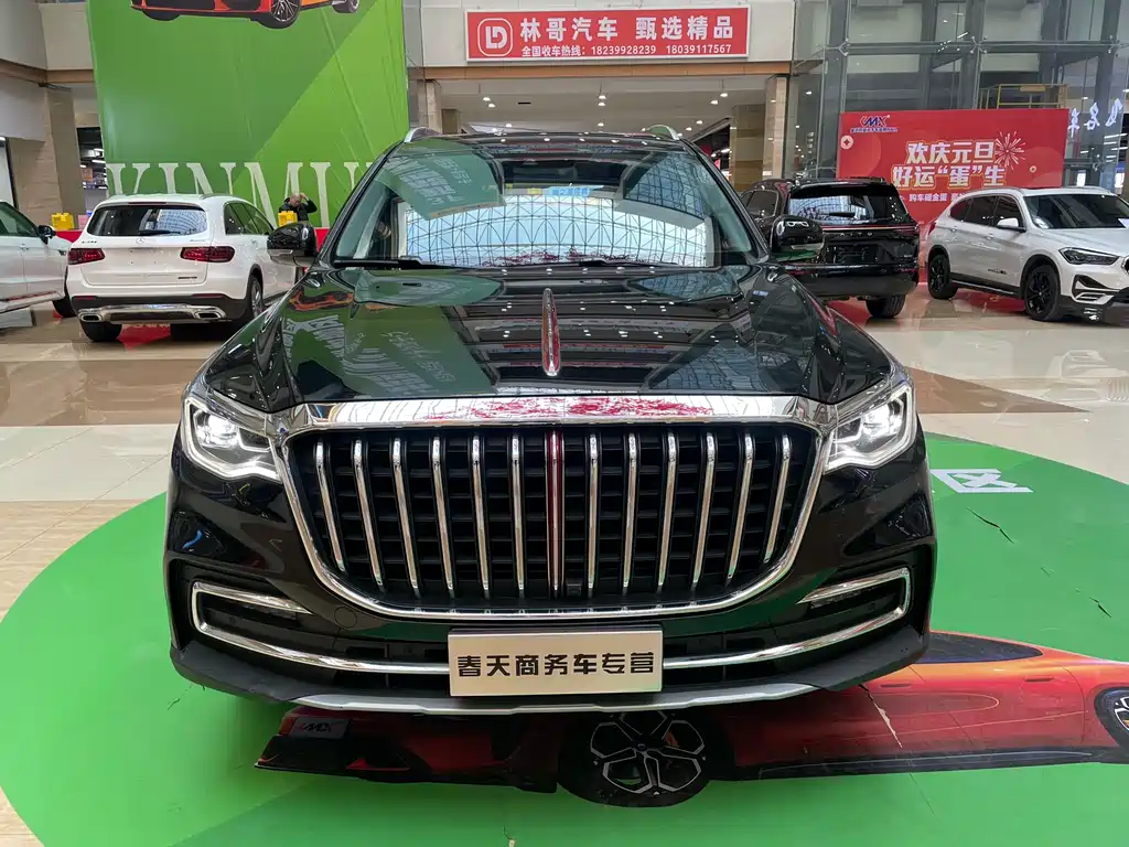 2023 Hongqi HS7 - zdjęcie 1 z 22