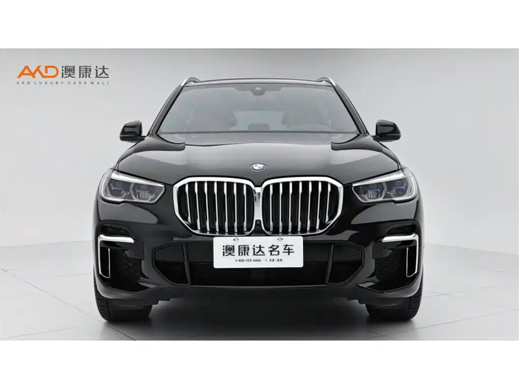 BMW X5 — миниатюра 2