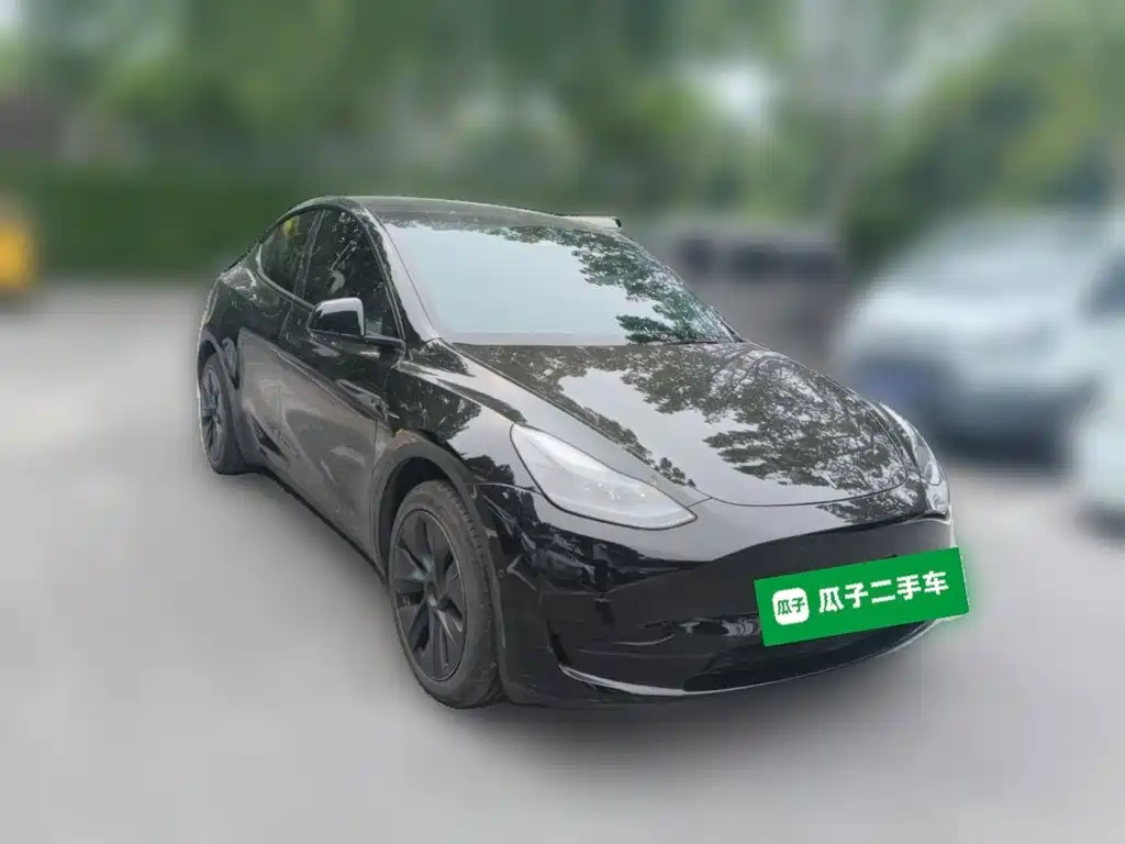 Tesla Model Y — миниатюра 24