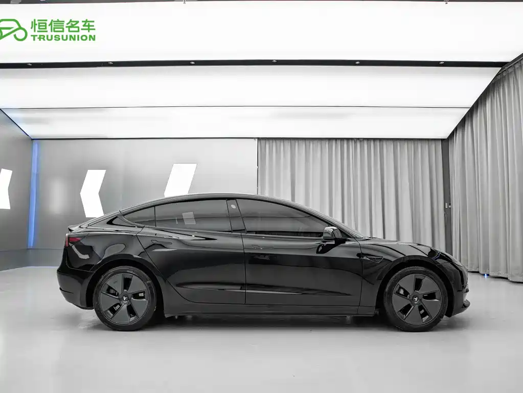 Tesla Model 3 2021 3D6