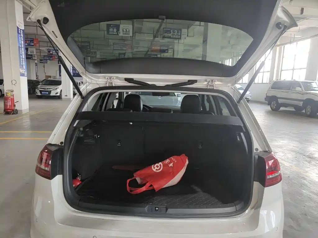 Volkswagen Golf — миниатюра 19