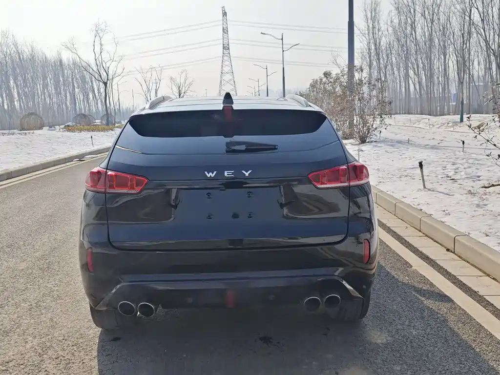 WEI PAI WEI BRAND VV7