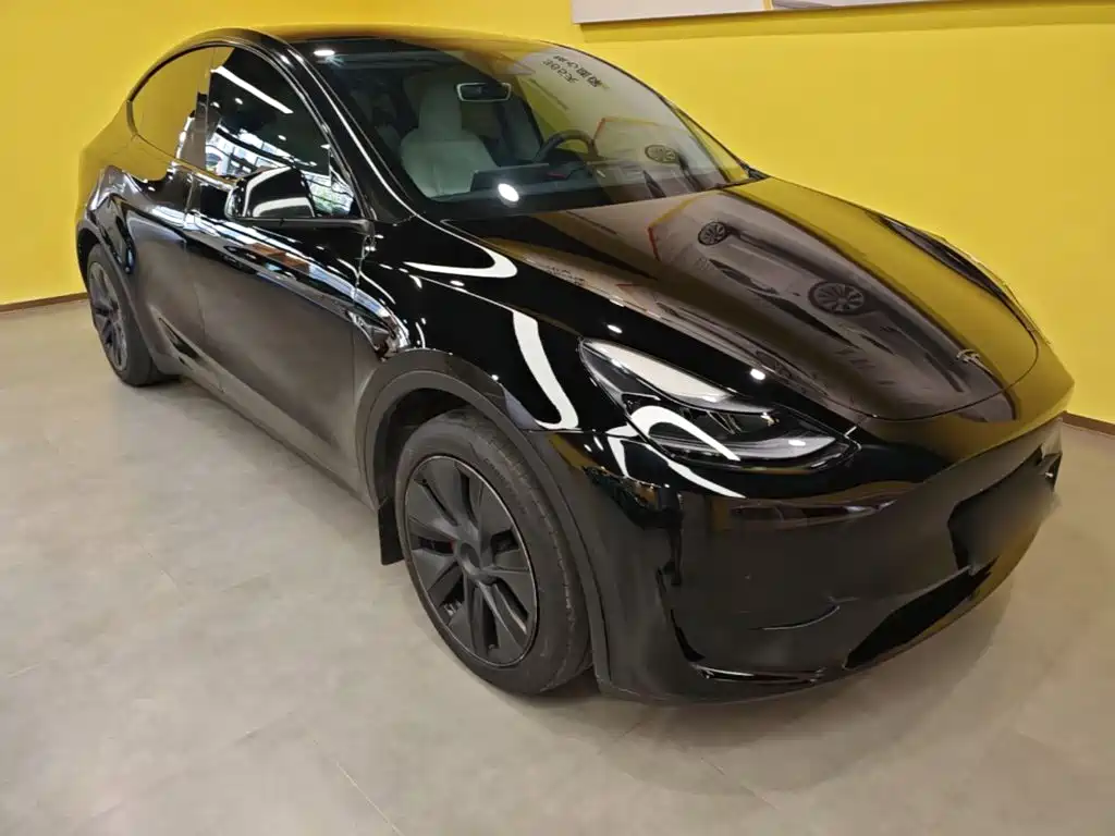 Tesla Model Y — миниатюра 4