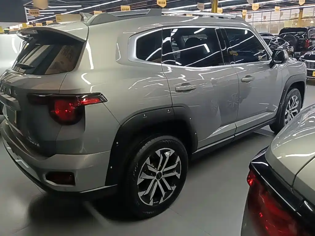 Haval Big Dog PLUS — миниатюра 7