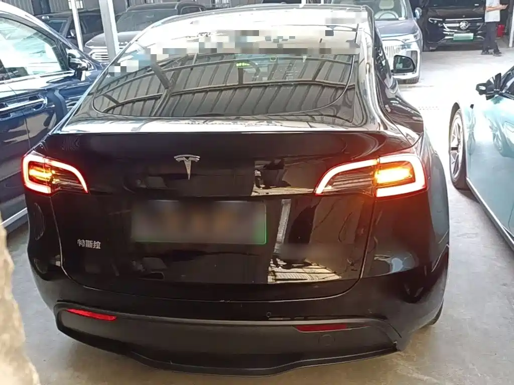 Tesla Model Y — миниатюра 6