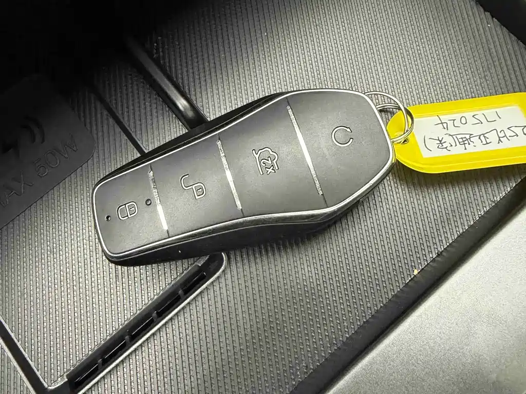 BYD SONGJIANG NEW ENERGY