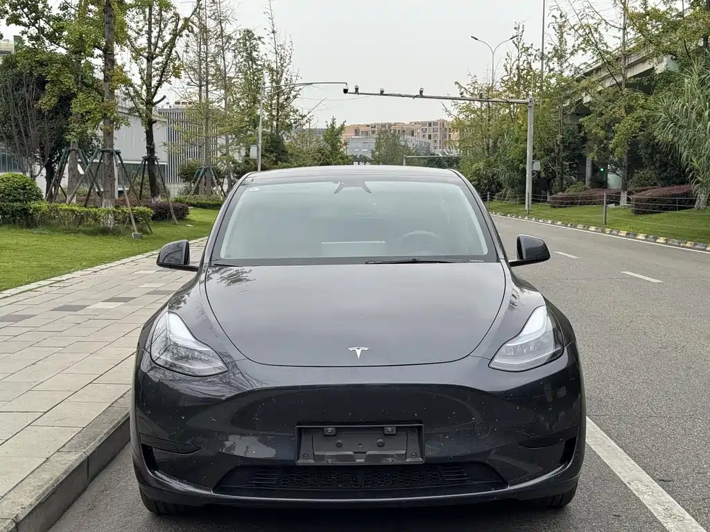 Tesla Model Y — миниатюра 2