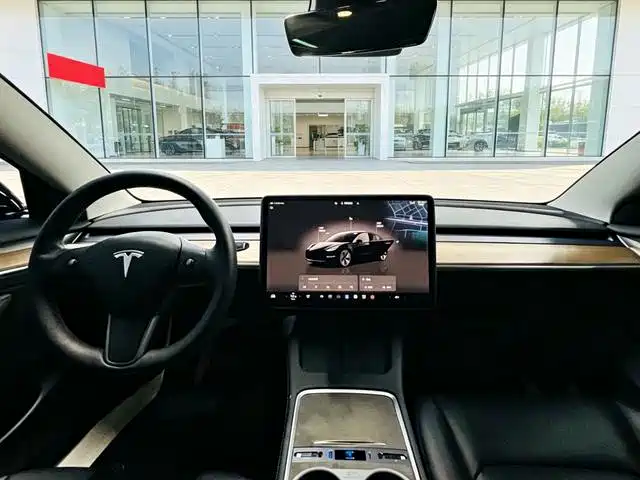Tesla Model 3 — миниатюра 8