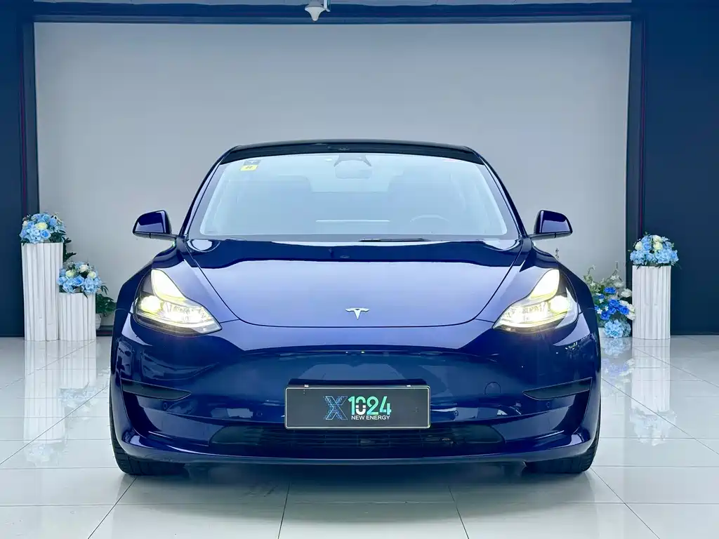 Tesla Model 3 — миниатюра 2