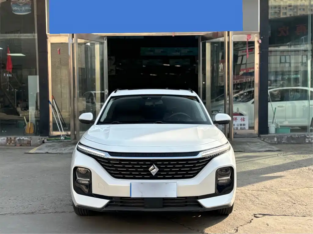 BAOJUN VALLI