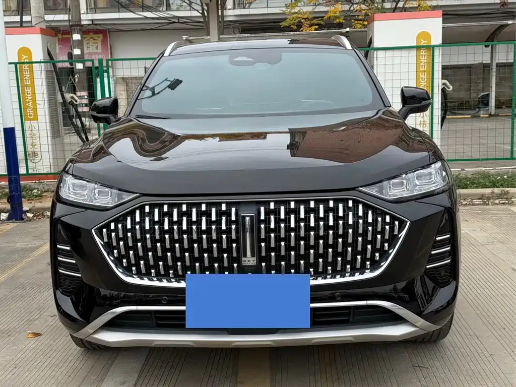 WEI PAI WEI BRAND MOCHA