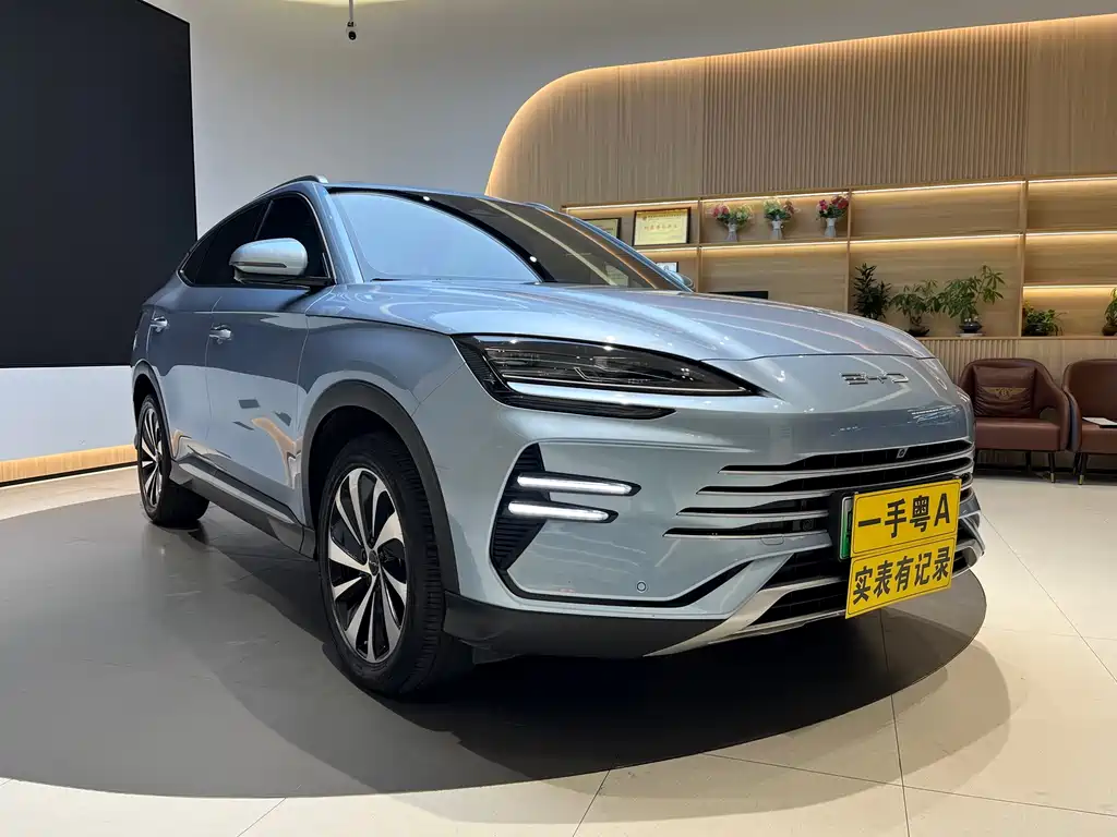 BYD SONGJIANG NEW ENERGY