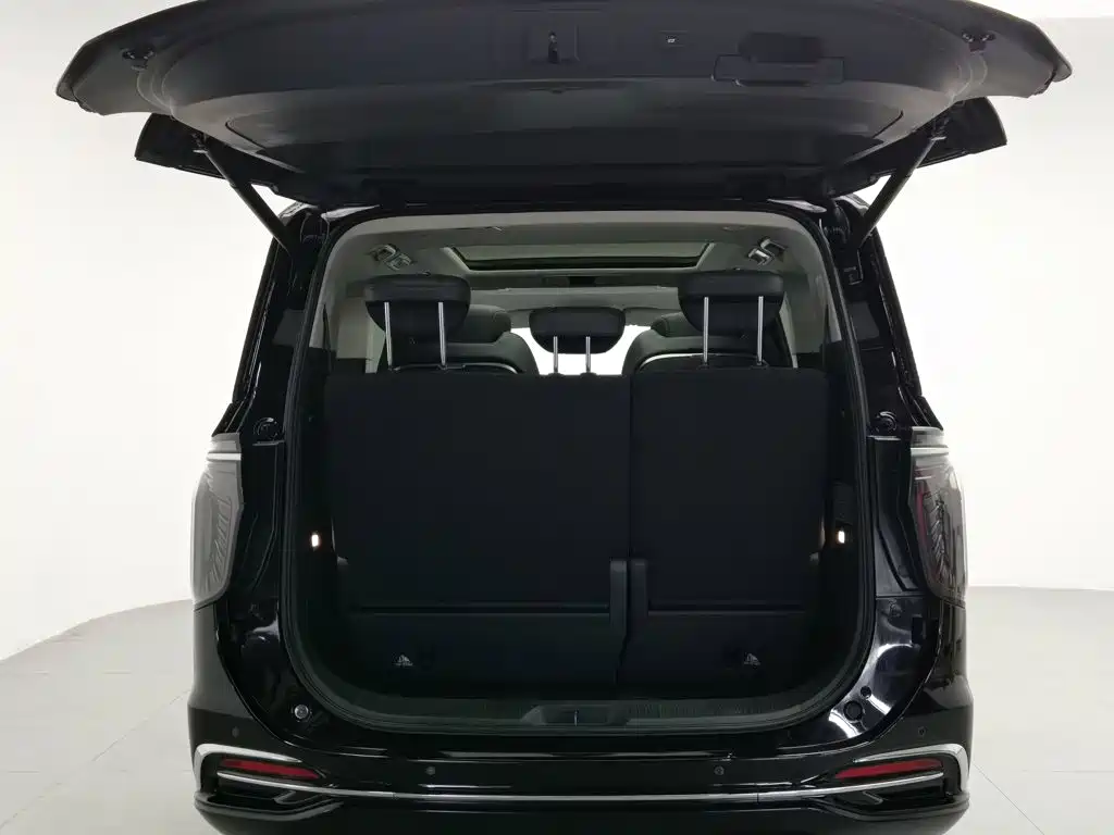 Hongqi Hongqi HQ9 — миниатюра 16