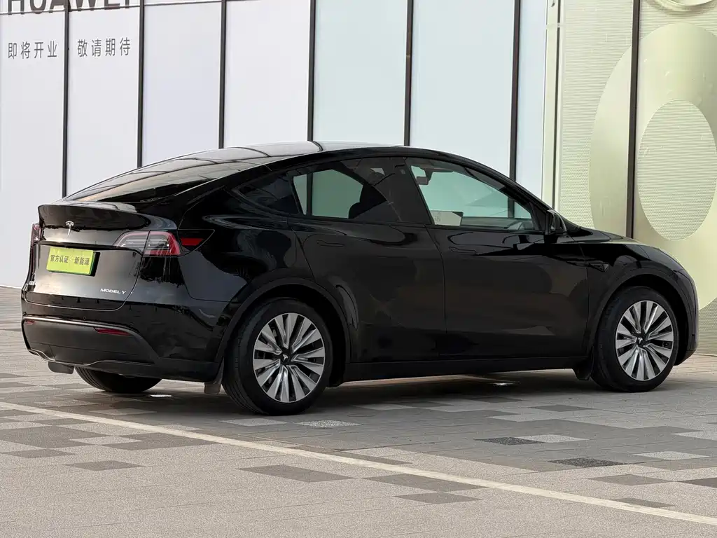 Tesla Model Y — миниатюра 4