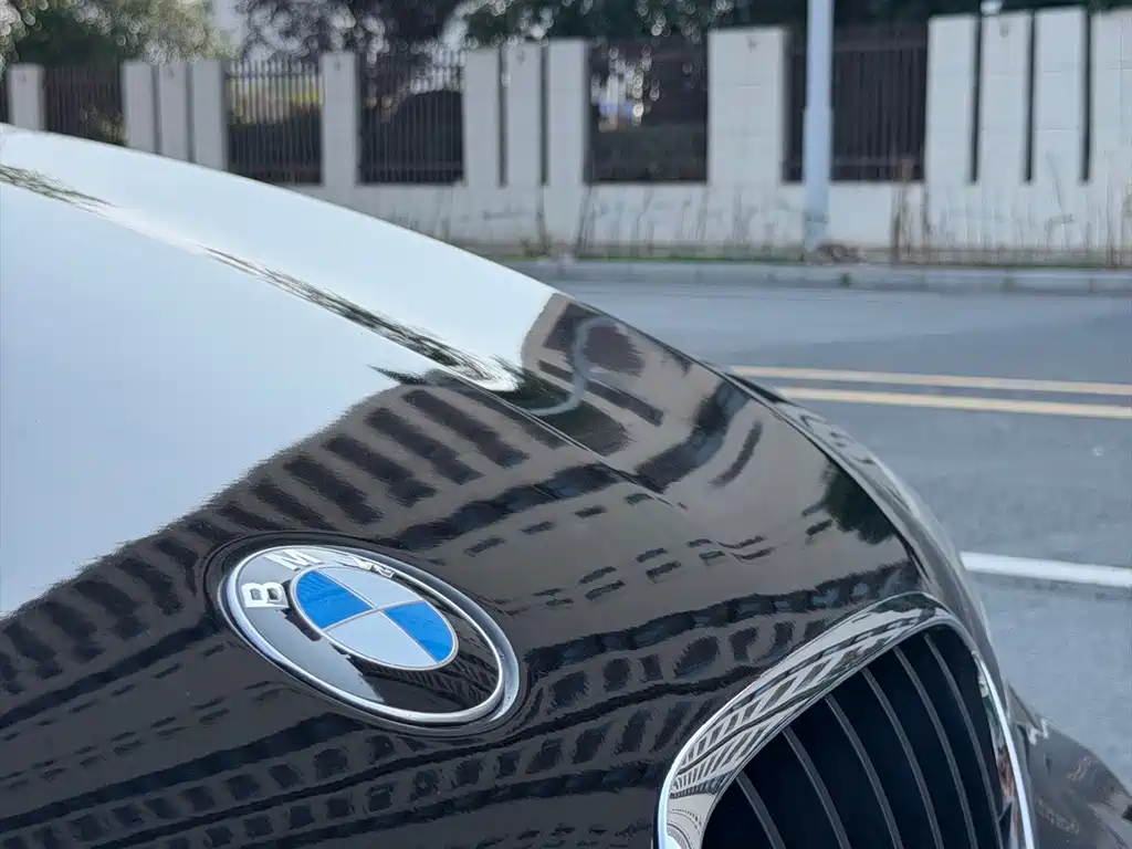 BMW X6 — миниатюра 31