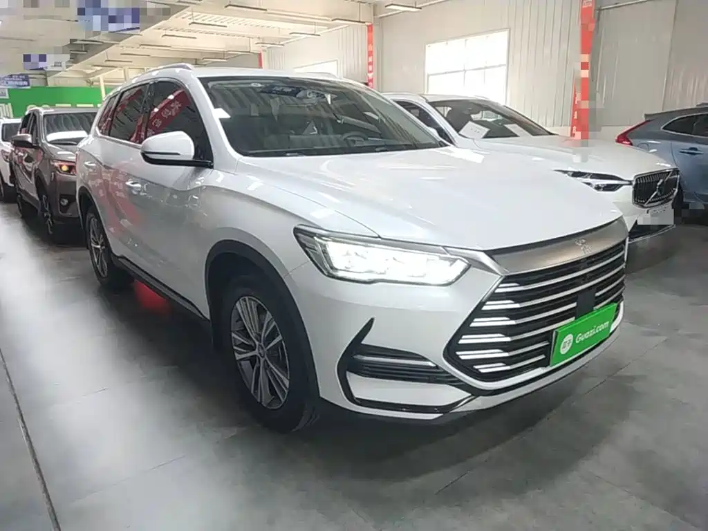 BYD Pro — миниатюра 4