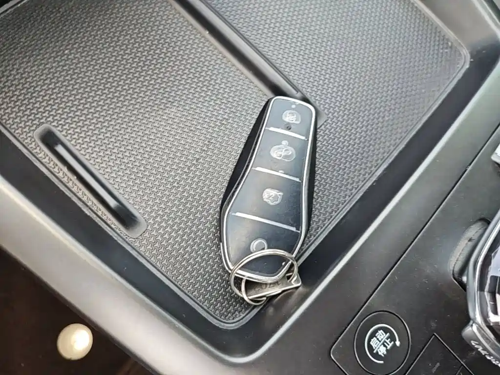BYD Qin Plus PLUS 2025 DM-i Smart Drive 55KM Lead